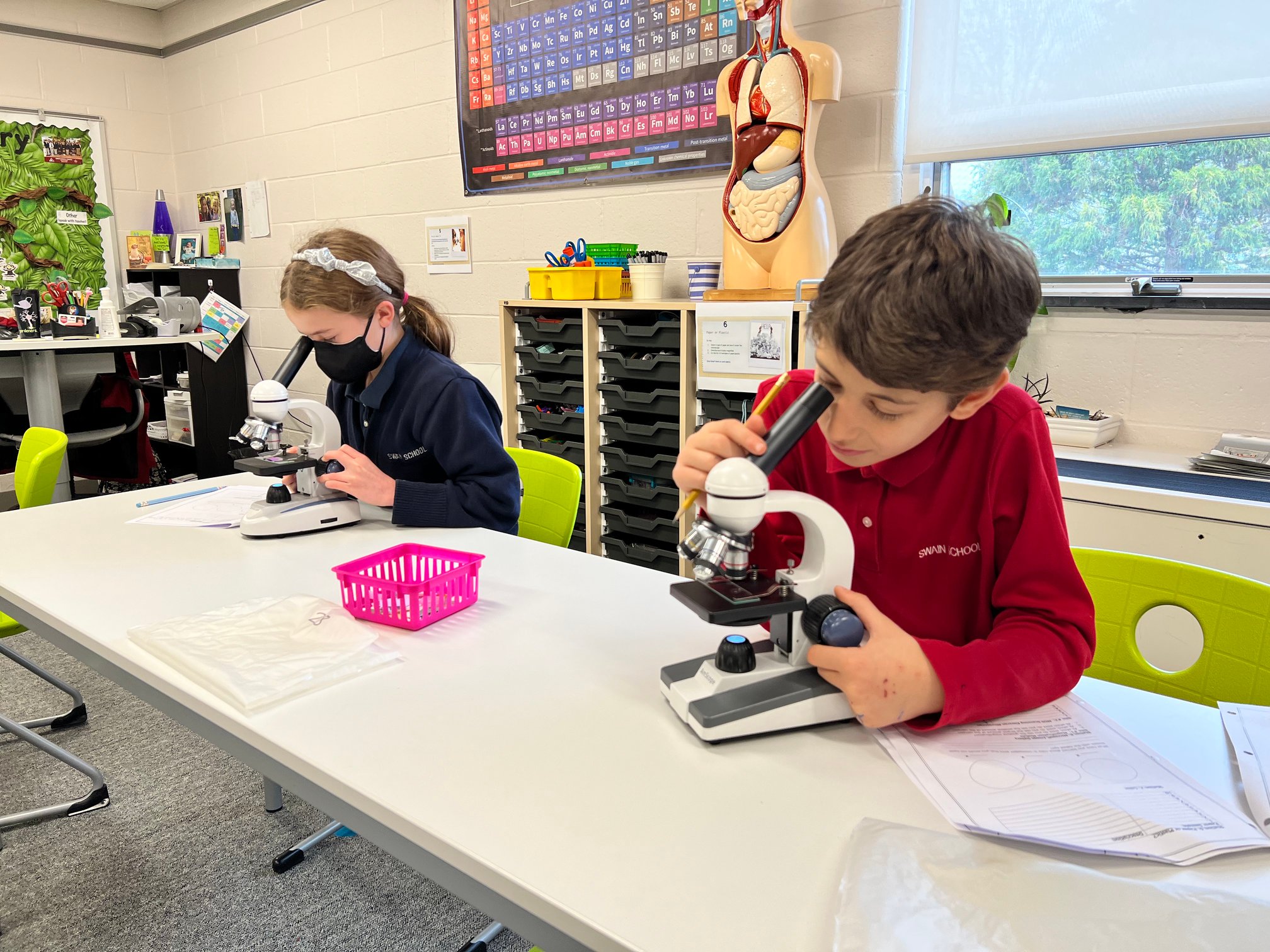 Microscope Madness in Sixth Grade Science