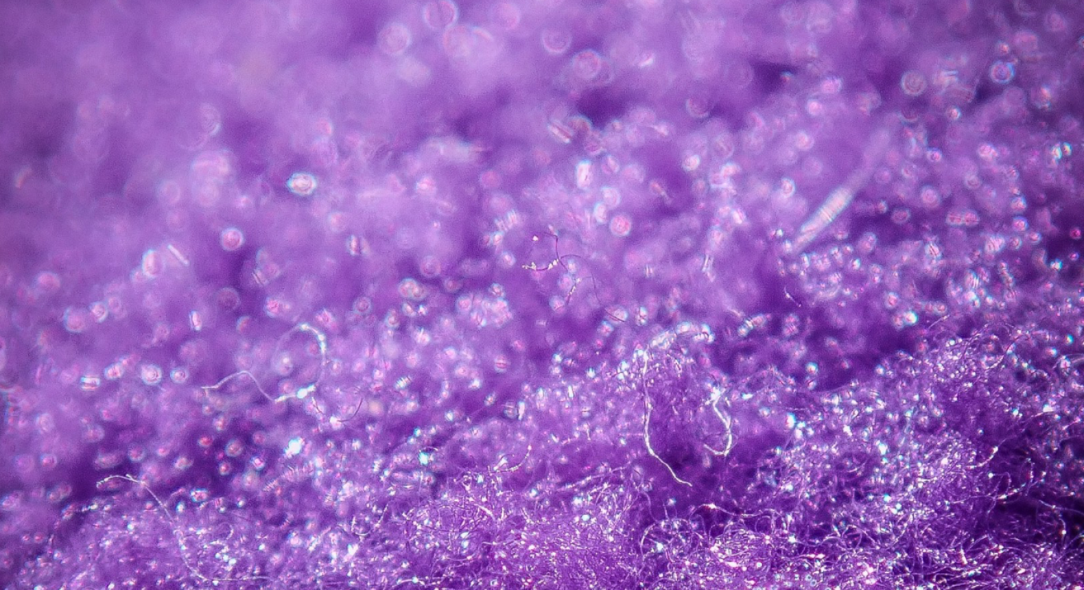 The Color Purple — In Physics